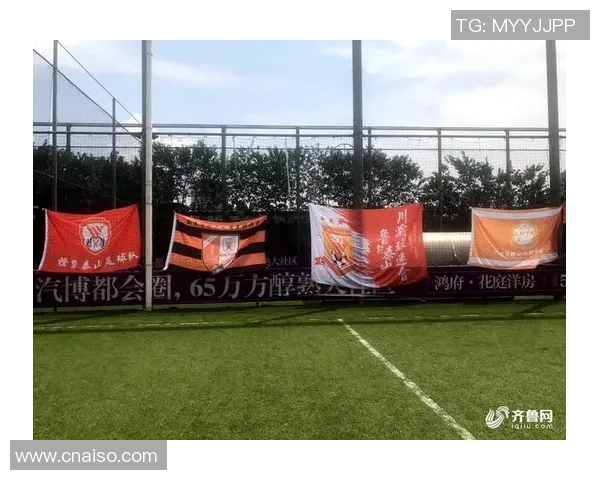 重庆网球队实力揭秘:网球巨献背后的故事与成就 重庆网球队实力揭秘:网球巨献背后的故事与成就