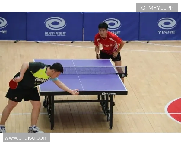 重庆乒乓球队区域防守策略分析及其在比赛中的成效与不足之处探讨 重庆乒乓球队区域防守策略分析及其在比赛中的成效与不足之处探讨