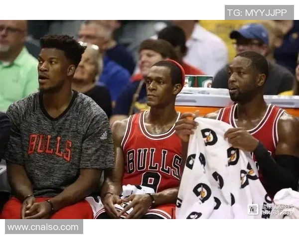 重庆羽毛球队逆袭之路揭秘团结拼搏铸就辉煌成就 重庆羽毛球队逆袭之路揭秘团结拼搏铸就辉煌成就