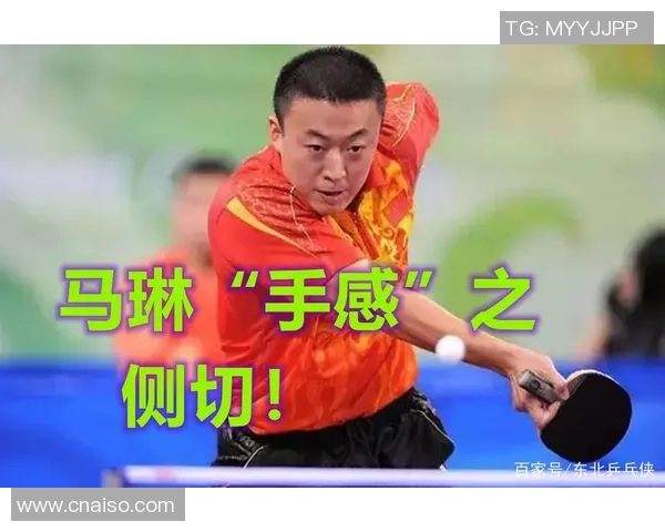 乒乓球焦点：武汉乒乓球队的心理素质探讨