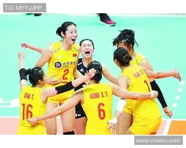 排球团队协作排名：深圳排球队创新高