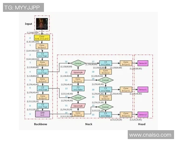 专业解读：V5的控制打法