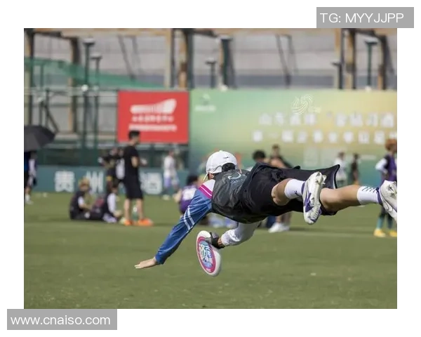 专访黄军:解密飞盘成功之道 专访黄军:解密飞盘成功之道