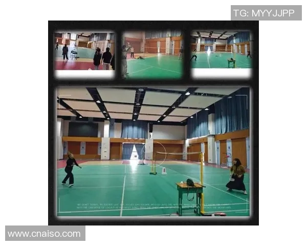 羽毛球深度:解密南京羽毛球队的防反 羽毛球深度:解密南京羽毛球队的防反