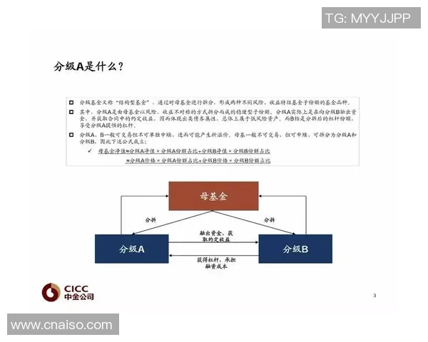 重磅专题：杭州街舞队的运营革新