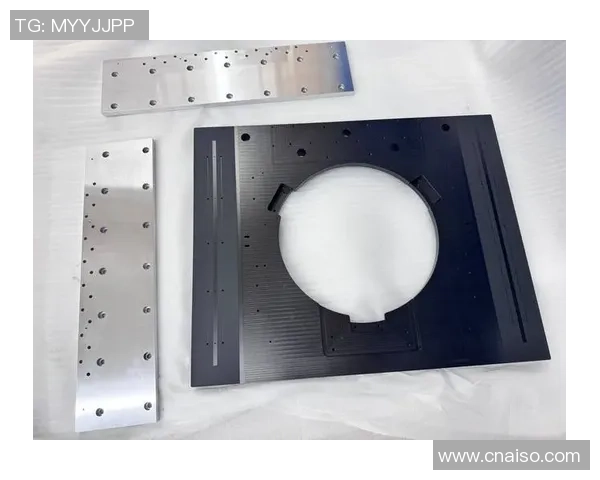 权威发布：滑板力量实力榜单