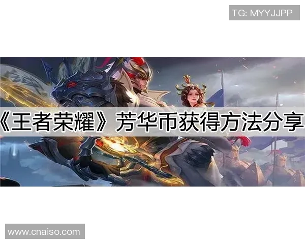 赵军独家：分享王者荣耀心得