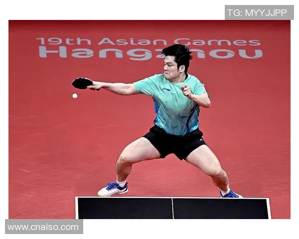 乒乓球热点：解读杭州乒乓球队的阵地战