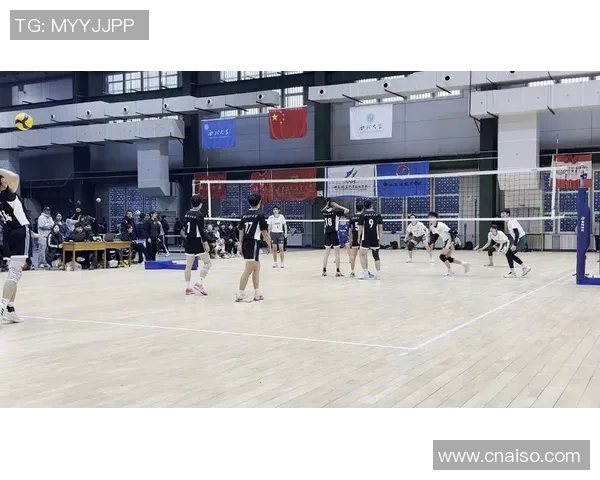 排球深度：解密西安排球队的快攻