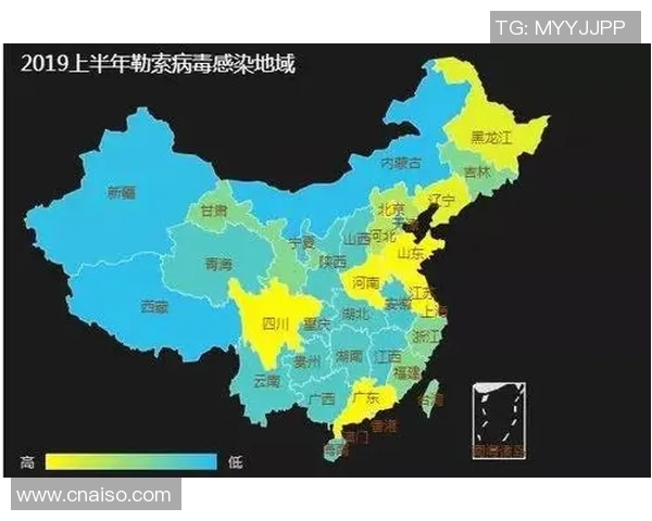 重磅专题:西安篮球队的控制革新 重磅专题:西安篮球队的控制革新